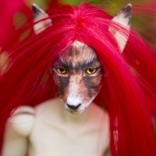 Красная лиса