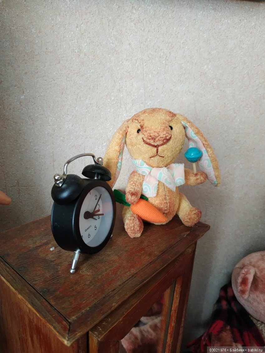 Новые плюшежители моего дома