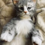 Авторская игрушка серый Котенок