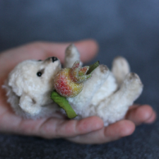 История создания ежика-альбиноса Снежка