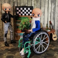 Лысый на колесиках