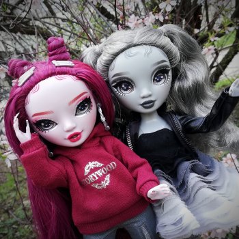 Подружки rainbow high в поисках сакуры