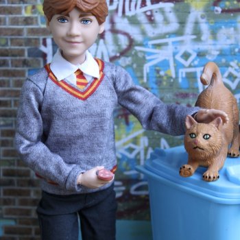 Выгул с питомцами