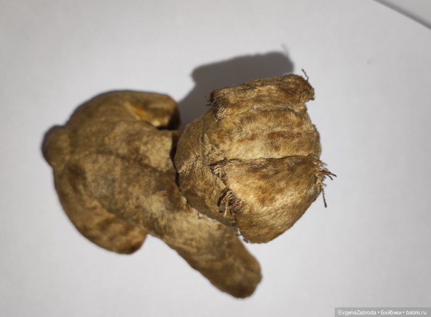 Миниатюрный щенок 1930-1940е (фото 5)