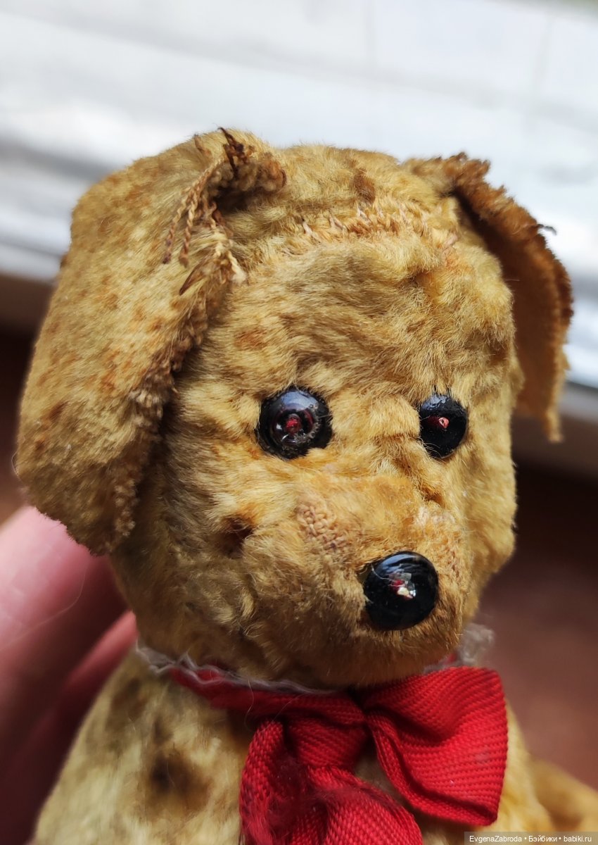 Миниатюрный щенок 1930-1940е (фото 2)