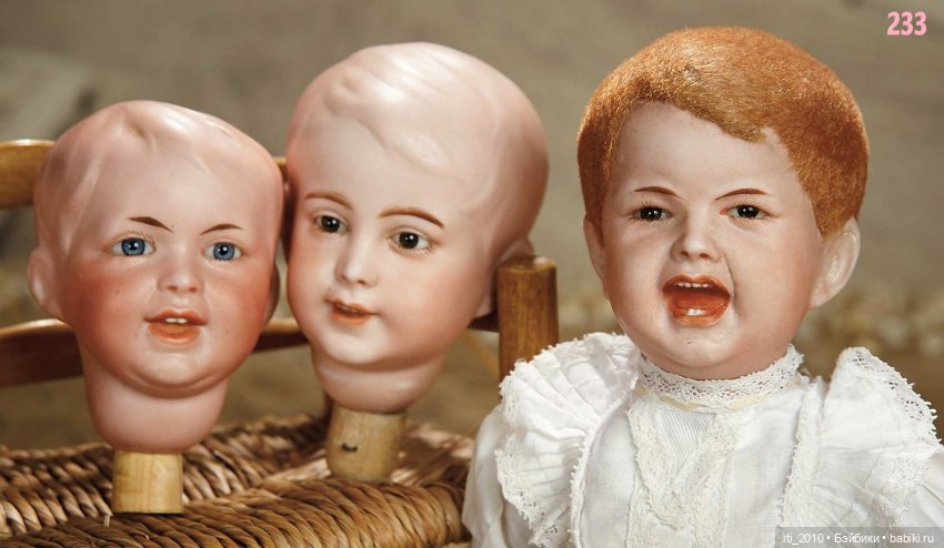 Живёт такой парень - характерные малыши SFBJ (фото 7)