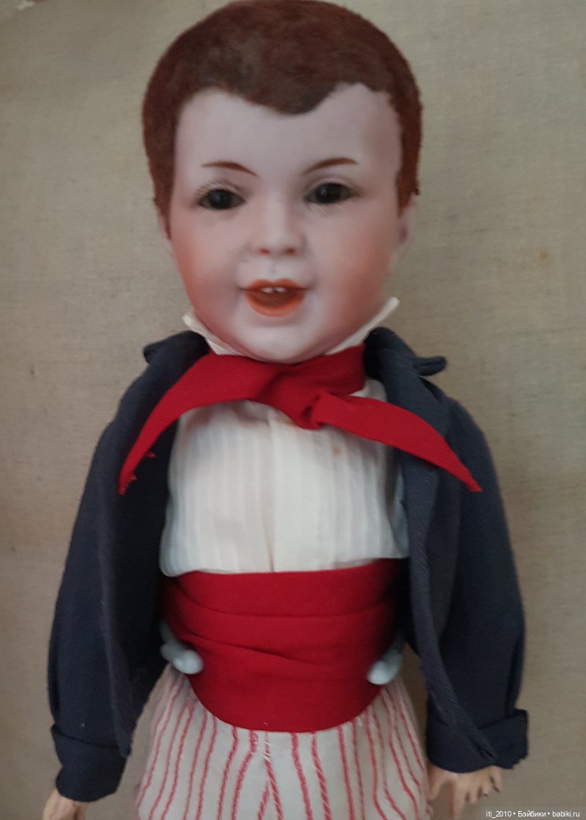 Живёт такой парень - характерные малыши SFBJ (фото 2)