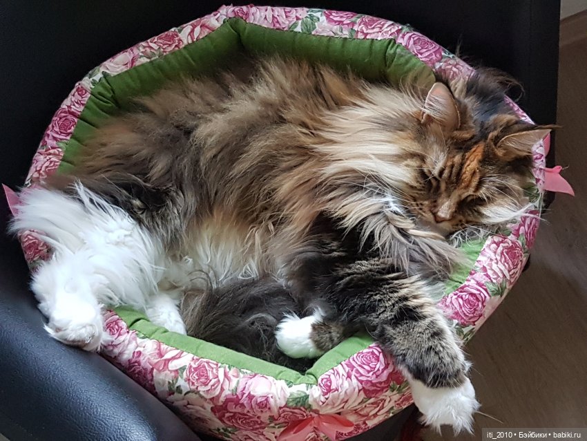 С Днём СТУДЕНТОВ и ТАТЬЯН