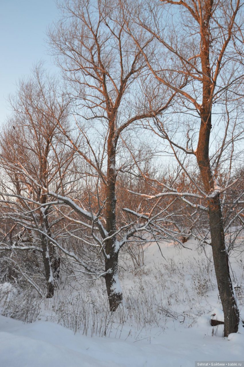 Дух лесной к себе зовёт, одеваюсь и... вперёд | Бэйбики Дух лесной к себе зовёт, одеваюсь и... вперёд (фото 10)