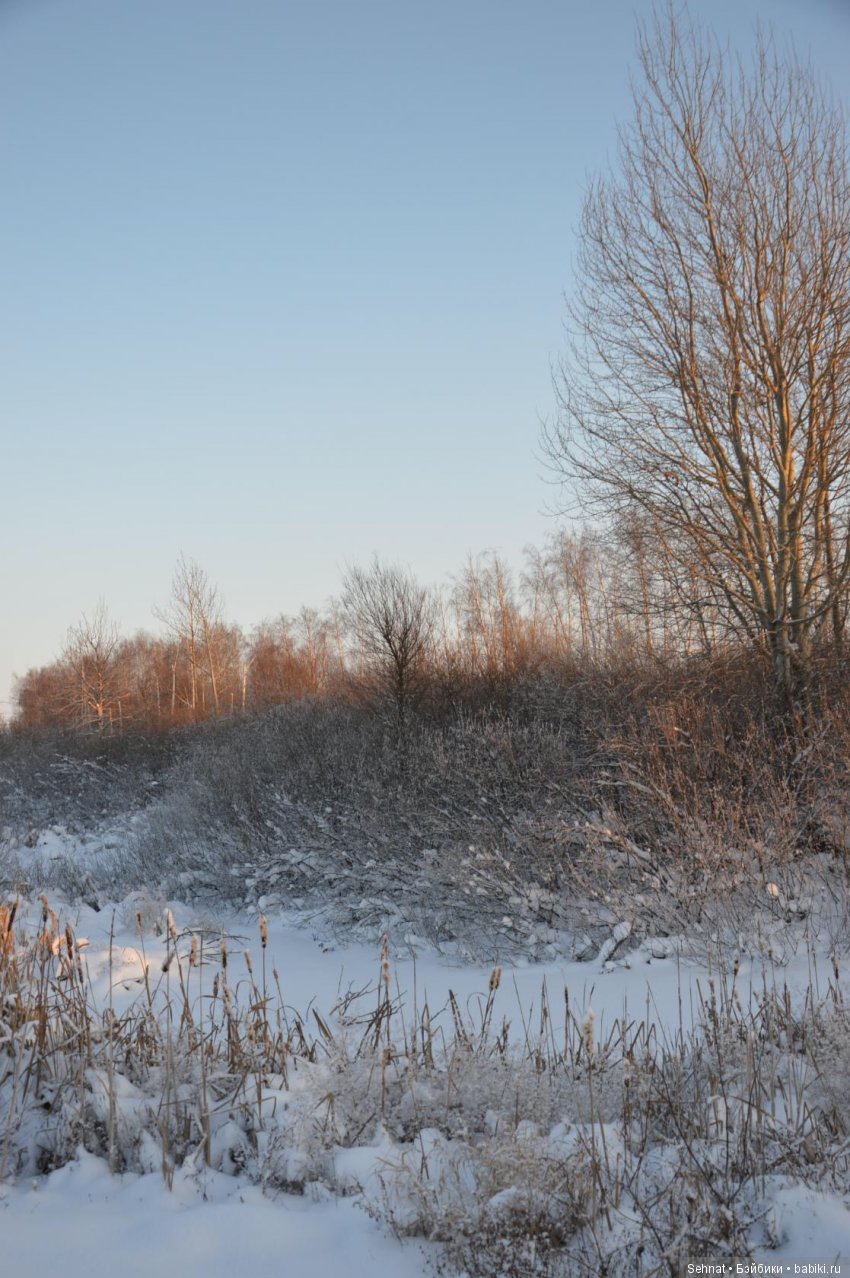 Дух лесной к себе зовёт, одеваюсь и... вперёд | Бэйбики Дух лесной к себе зовёт, одеваюсь и... вперёд