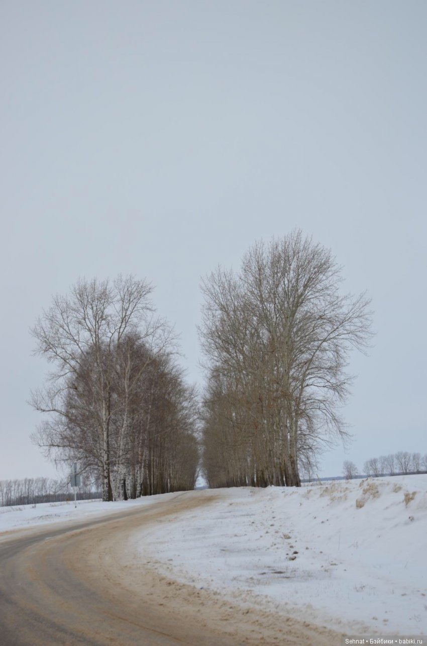 Дух лесной к себе зовёт, одеваюсь и... вперёд | Бэйбики Дух лесной к себе зовёт, одеваюсь и... вперёд