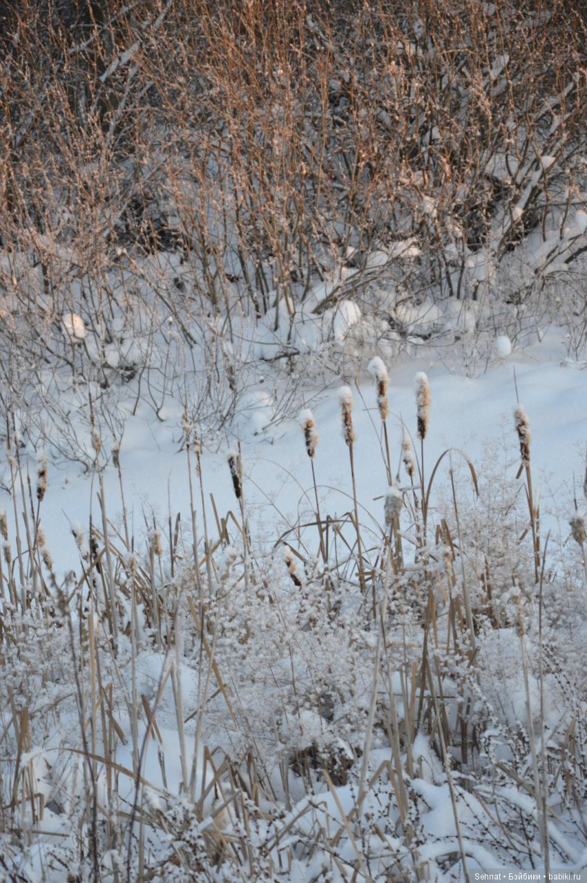 Дух лесной к себе зовёт, одеваюсь и... вперёд | Бэйбики Дух лесной к себе зовёт, одеваюсь и... вперёд