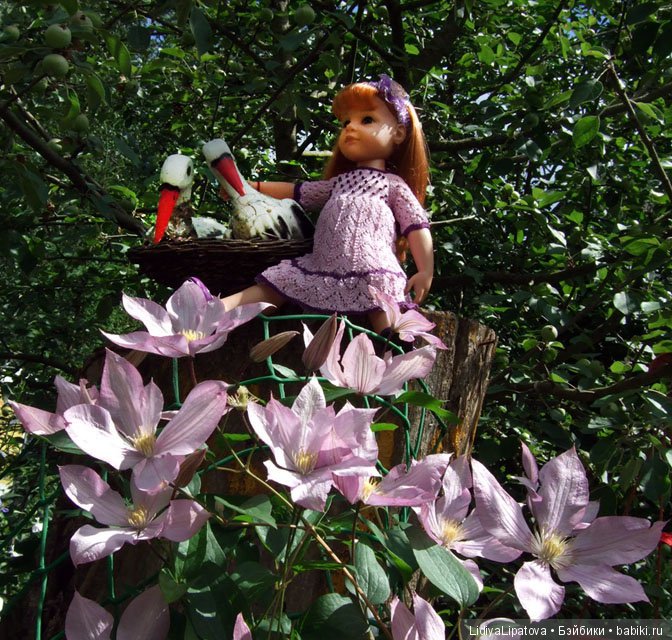 аисты приносят детей в лиловом