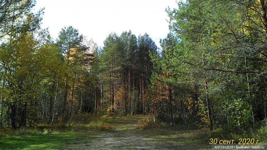 Золотая осень на Севере | Бэйбики Золотая осень на Севере — Болталка и разговоры обо всем: жизнь (фото 6)