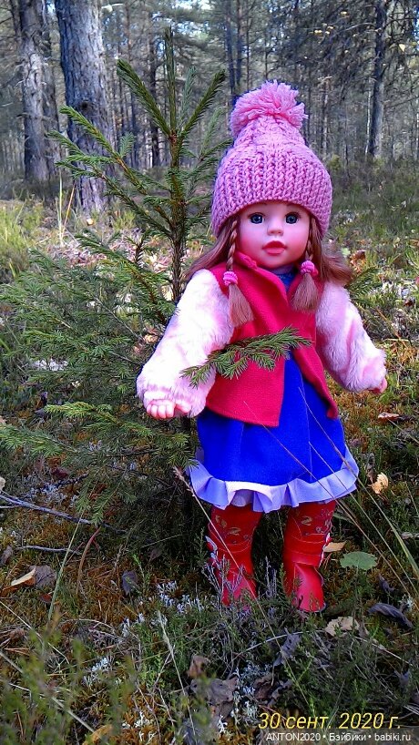 Золотая осень на Севере | Бэйбики Золотая осень на Севере — Болталка и разговоры обо всем: жизнь