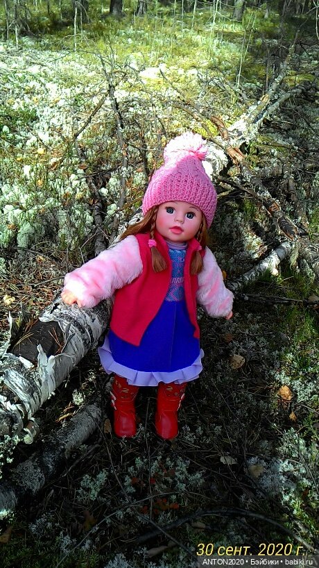 Золотая осень на Севере | Бэйбики Золотая осень на Севере — Болталка и разговоры обо всем: жизнь