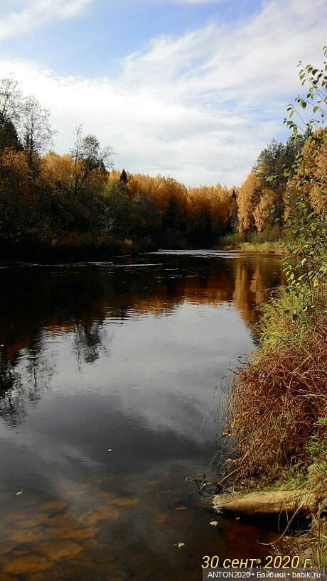 Золотая осень на Севере | Бэйбики Золотая осень на Севере — Болталка и разговоры обо всем: жизнь (фото 3)