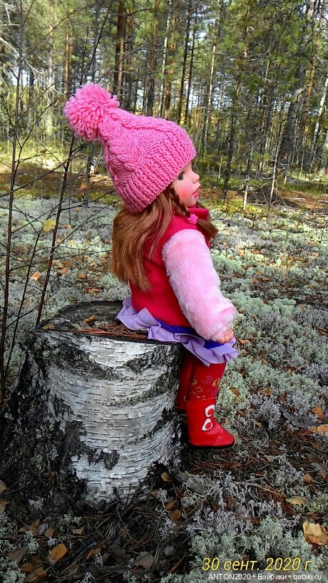 Золотая осень на Севере | Бэйбики Золотая осень на Севере — Болталка и разговоры обо всем: жизнь