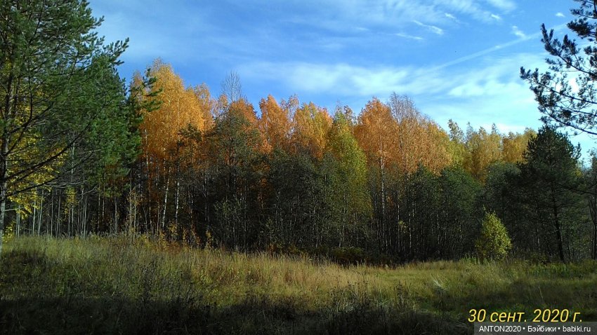 Золотая осень на Севере | Бэйбики Золотая осень на Севере — Болталка и разговоры обо всем: жизнь (фото 5)