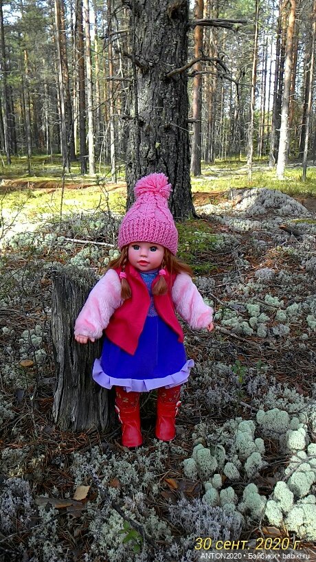 Золотая осень на Севере | Бэйбики Золотая осень на Севере — Болталка и разговоры обо всем: жизнь