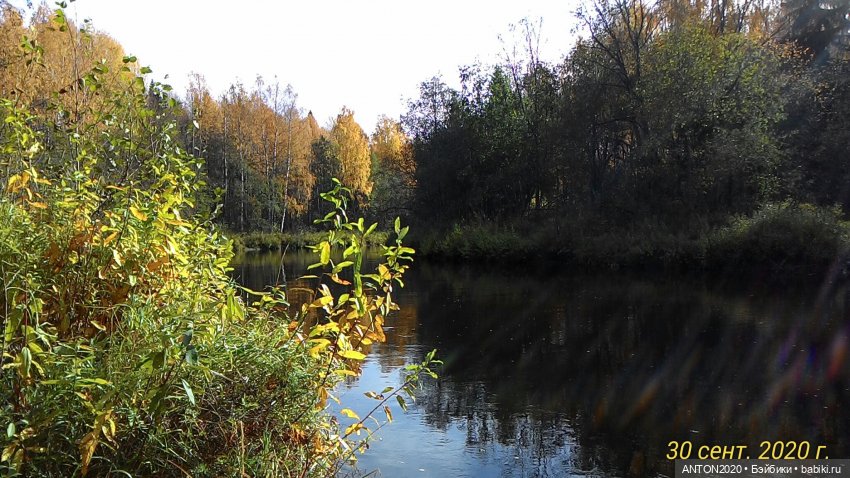 Золотая осень на Севере — Болталка и разговоры обо всем: жизнь