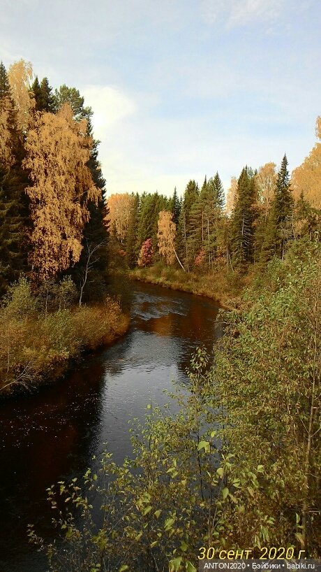 Золотая осень на Севере | Бэйбики Золотая осень на Севере — Болталка и разговоры обо всем: жизнь (фото 2)