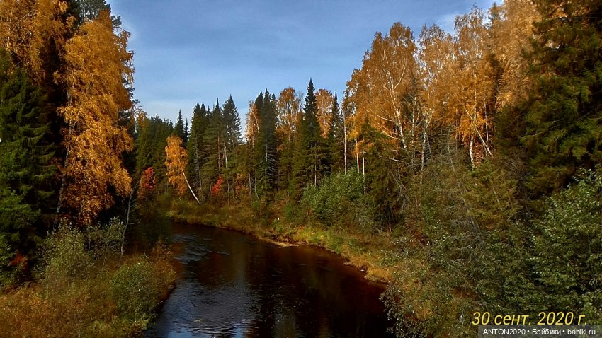 Золотая осень на Севере | Бэйбики Золотая осень на Севере — Болталка и разговоры обо всем: жизнь (фото 8)