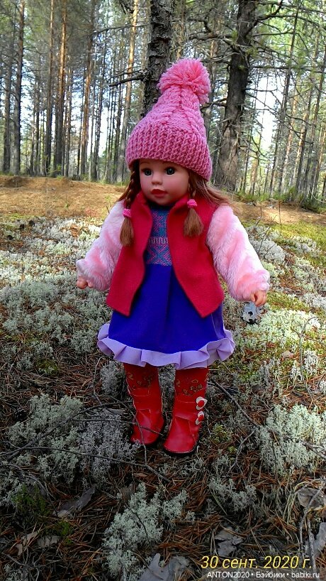 Золотая осень на Севере | Бэйбики Золотая осень на Севере — Болталка и разговоры обо всем: жизнь (фото 9)