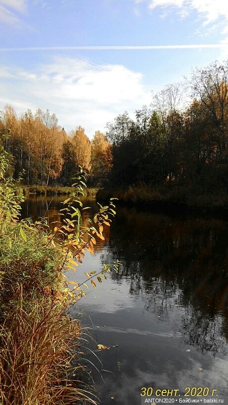 Золотая осень на Севере | Бэйбики Золотая осень на Севере — Болталка и разговоры обо всем: жизнь