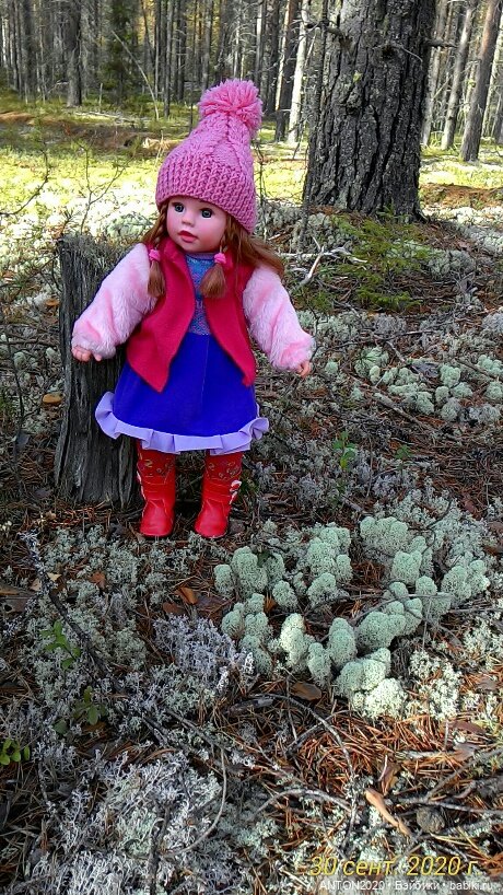 Золотая осень на Севере | Бэйбики Золотая осень на Севере — Болталка и разговоры обо всем: жизнь