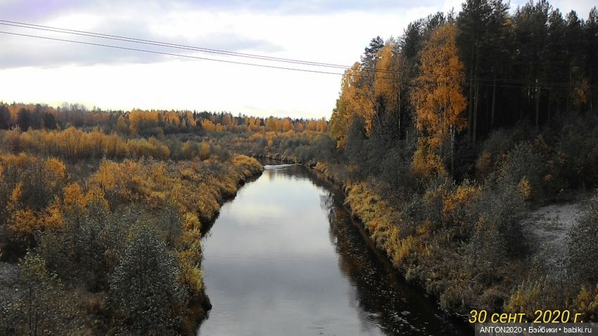 Золотая осень на Севере | Бэйбики Золотая осень на Севере — Болталка и разговоры обо всем: жизнь (фото 7)