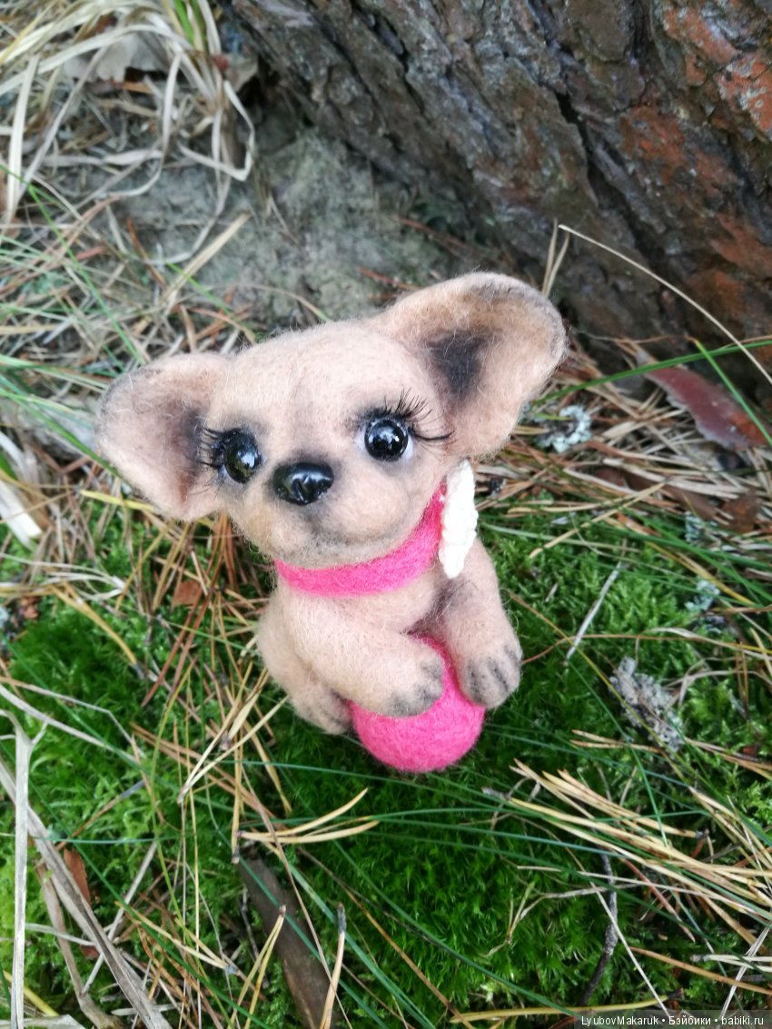 Чихуашка с мячиком — Валяные игрушки из шерсти: сухое валяние (фото 4)