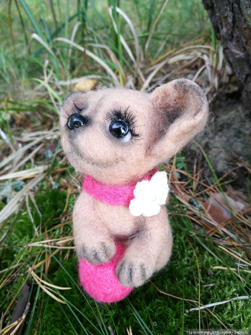 Чихуашка с мячиком — Валяные игрушки из шерсти: сухое валяние (фото 3)