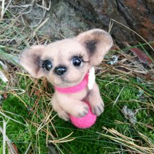 Чихуашка с мячиком