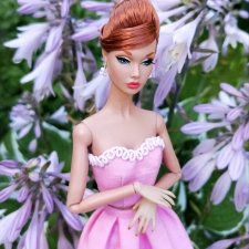 Единственная представительница семейства поппиобразных