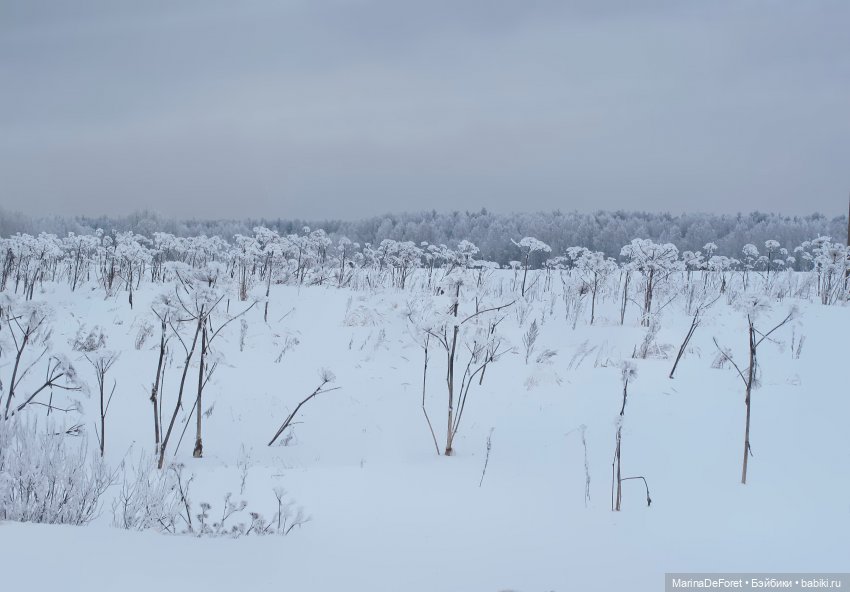 Там, где время остановилось (фото 6)