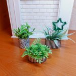 Лот из трёх комнатных растений для кукол от Светланы (fatinia)