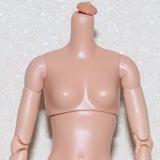 Тело Looks Модель 23