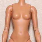 Тело Barbie Fashion Frontier Doll