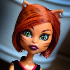 Рыжая Toralei из набора Monster high Ghoul Spirit 2013 Рыжая Toralei из набора Monster high Ghoul Spirit 2013