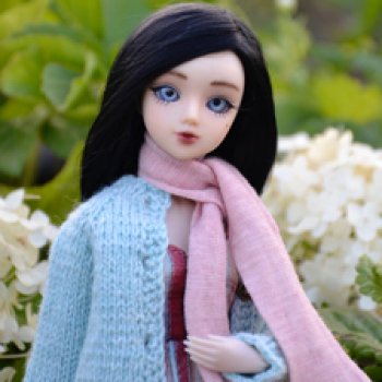 Сапожник без сапог. J-doll и цветы.