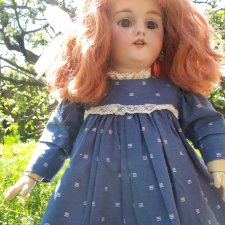 Время незабудок