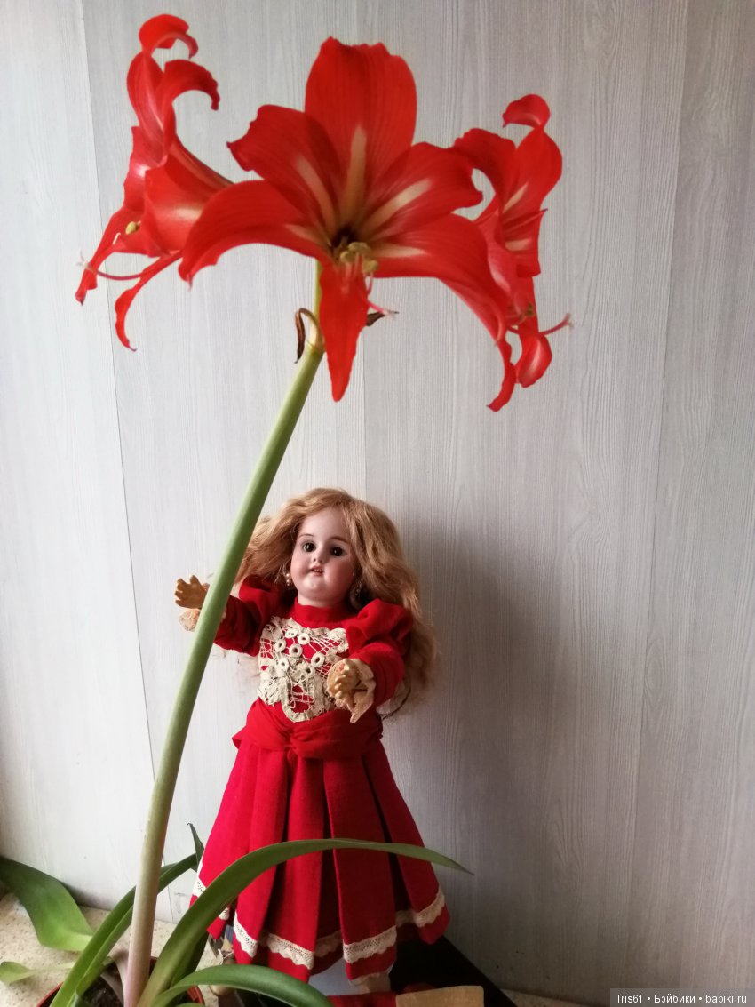 Осенняя прогулка — Антикварные куклы Simon & Halbig (S&H): Симон Хальбиг (фото 9)