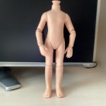 Шарнирное тело