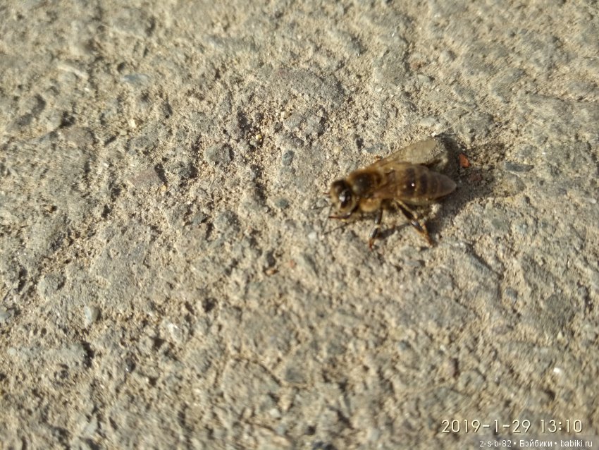 Какой хороший день — ООАК и репейнт игровых кукол: Bratz (фото 5)