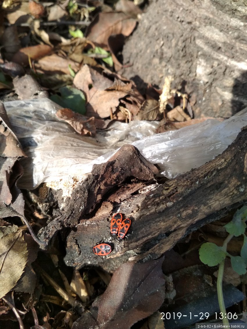 Какой хороший день — ООАК и репейнт игровых кукол: Bratz (фото 6)