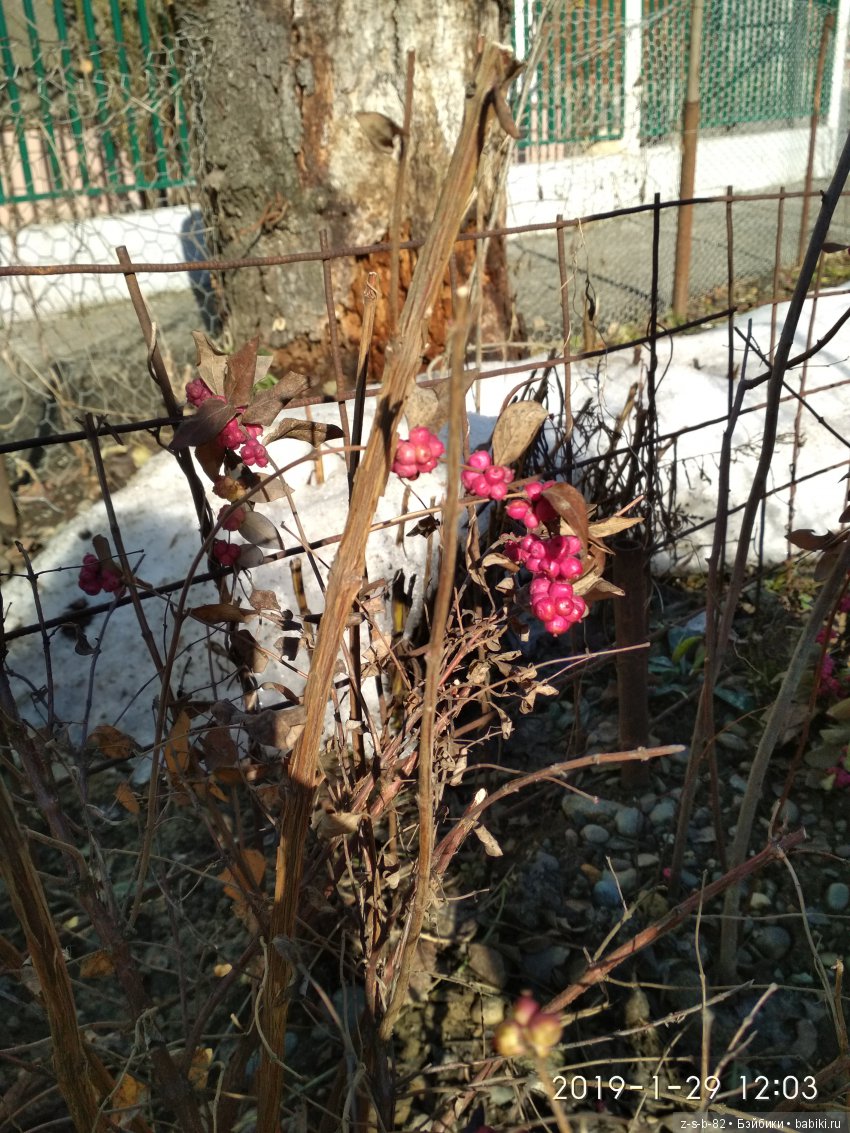 Какой хороший день — ООАК и репейнт игровых кукол: Bratz