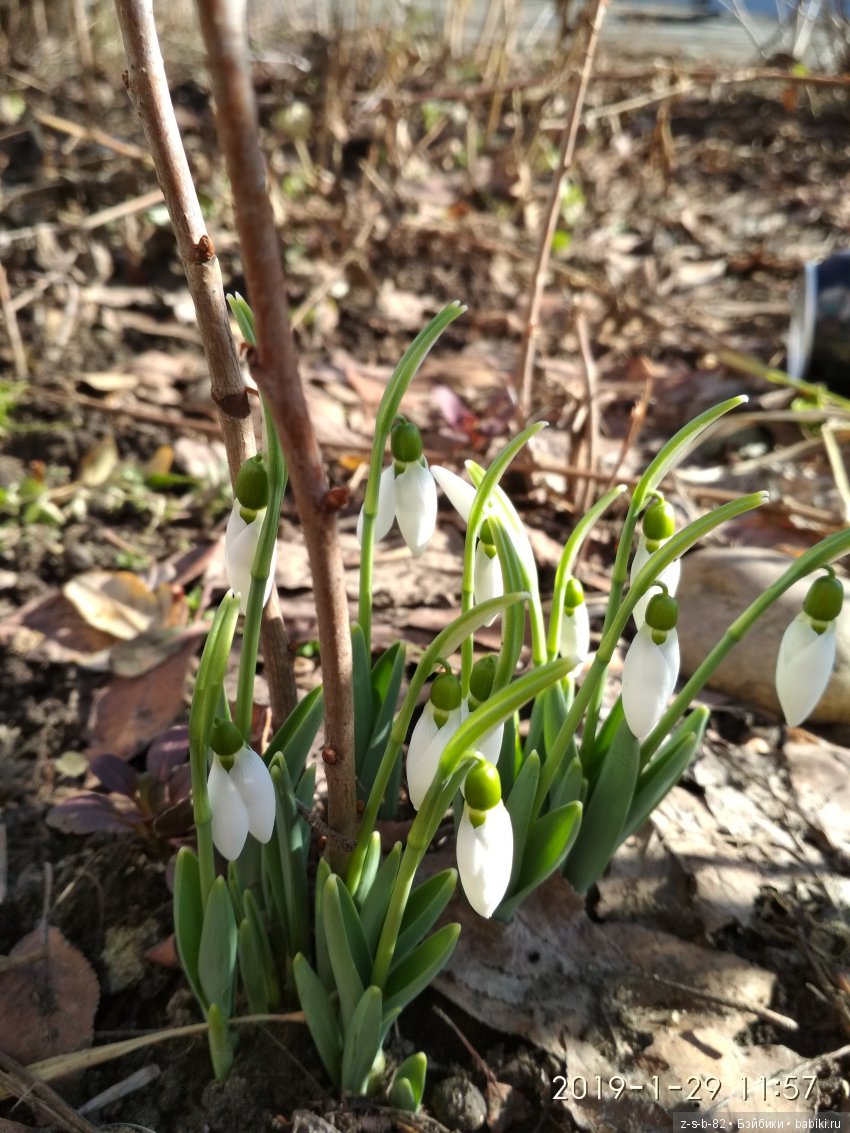 Какой хороший день — ООАК и репейнт игровых кукол: Bratz (фото 4)