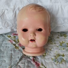 Голова целлуоид шильдкрот