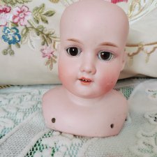 Красивая голова AM 370